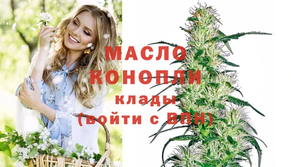 метадон Инта