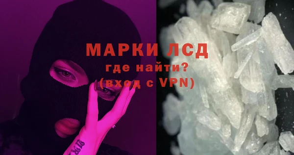 ПСИЛОЦИБИНОВЫЕ ГРИБЫ Иннополис