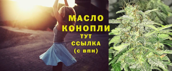 метадон Инта