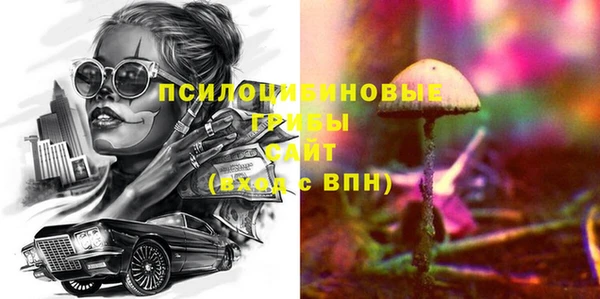метадон Инта