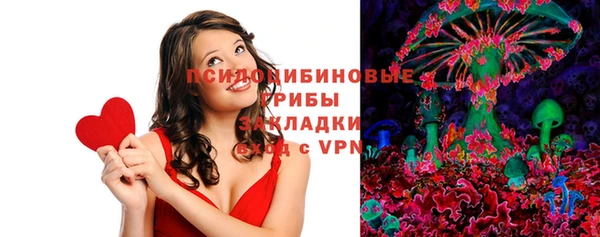 метадон Инта